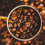Secagem do café em terreiro: importância e cuidados durante o processo