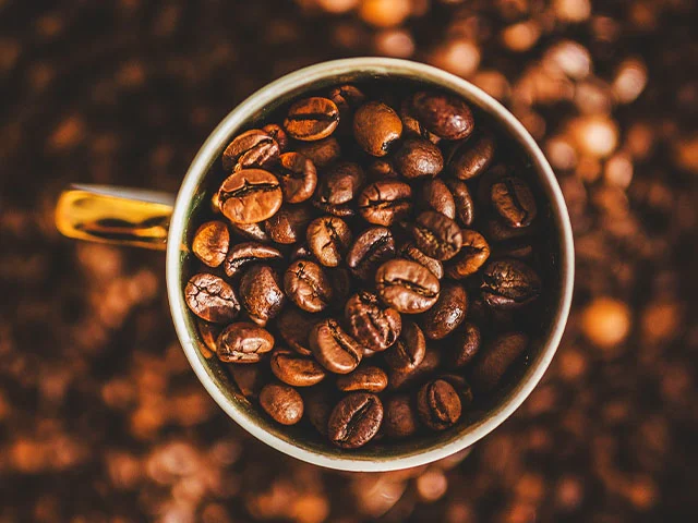 Secagem do café em terreiro: importância e cuidados durante o processo