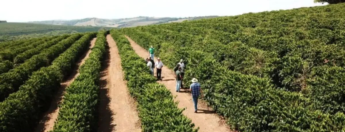 capa-producao-cafe-arabica-1024x578.jpeg